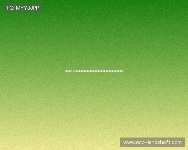 星界娱乐app官网下载助力用户第一时间获取世界杯最新赛事资讯与精彩直播内容